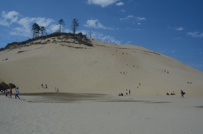 the giant sand dune at Cape Kiwanda, Pacific City
